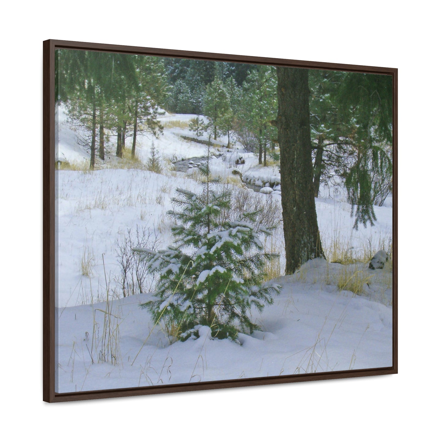 Christmas Tree Creek Gallery Canvas Wraps Framed