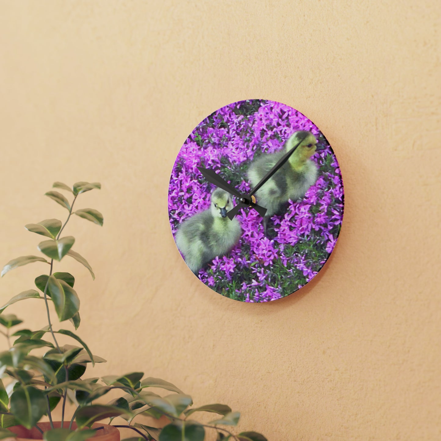 Precious Peeps Acrylic Wall Clock