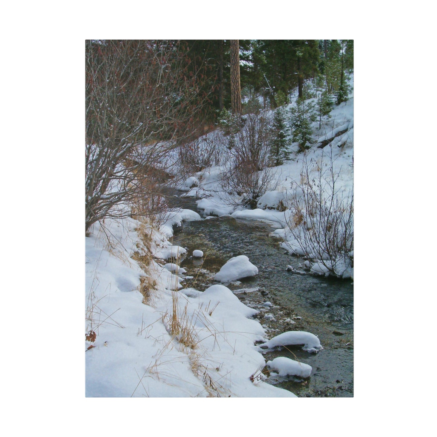 Snowy Creek Matte Canvas