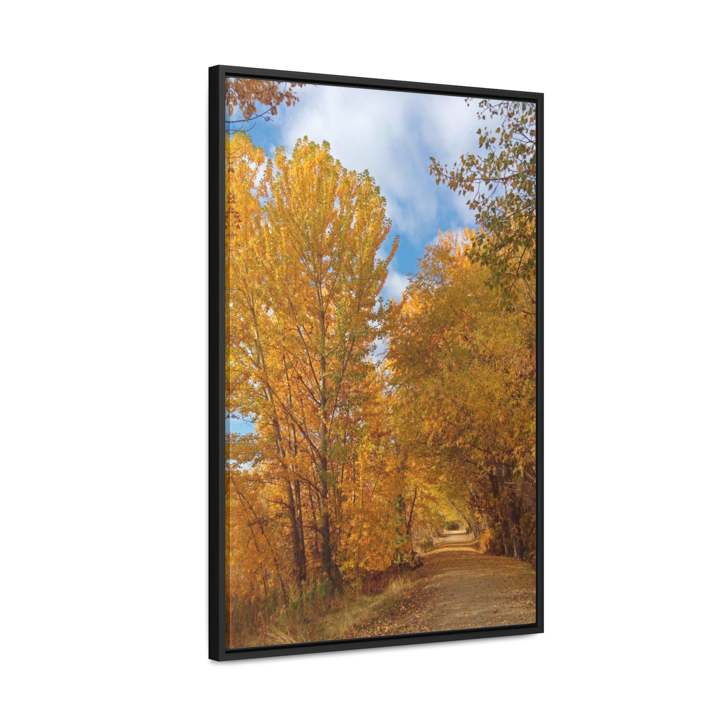 Autumn Trail Gallery Canvas Wraps Framed