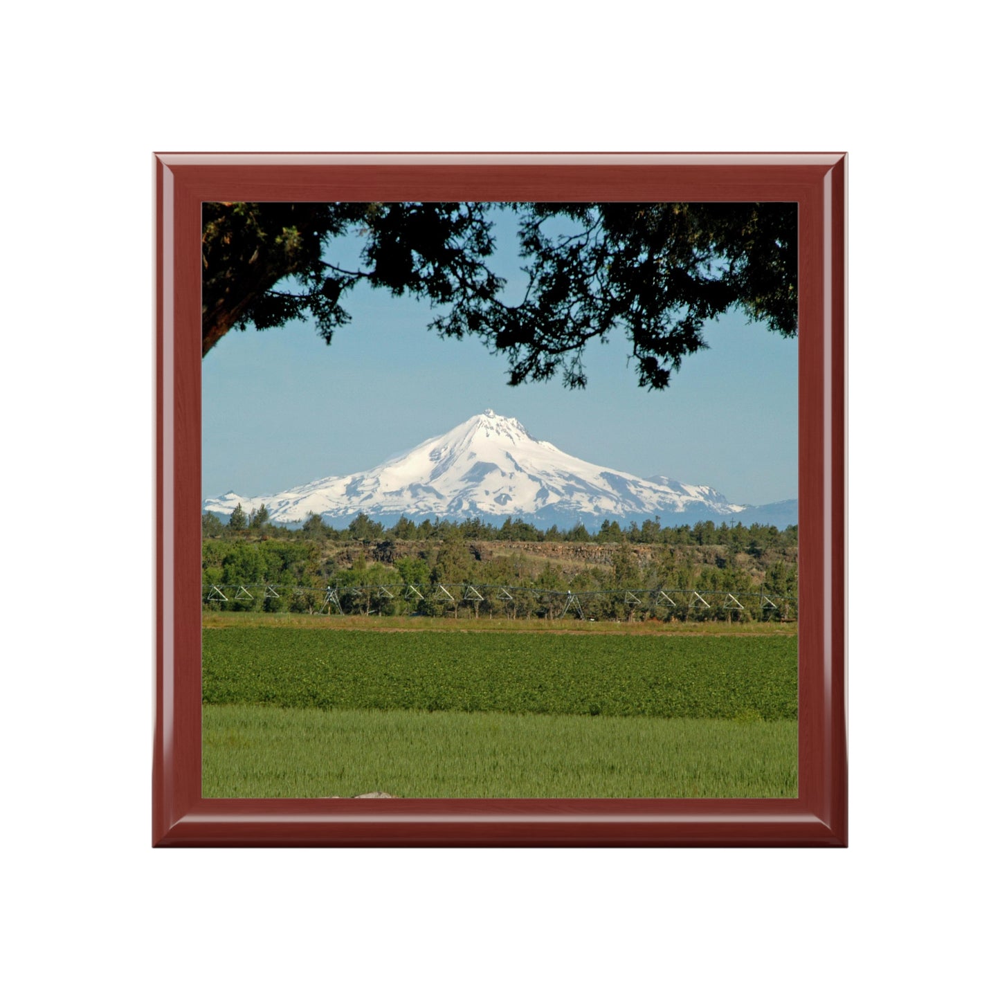 Juniper Framed Mountain Jewelry Box ~ 7.24"