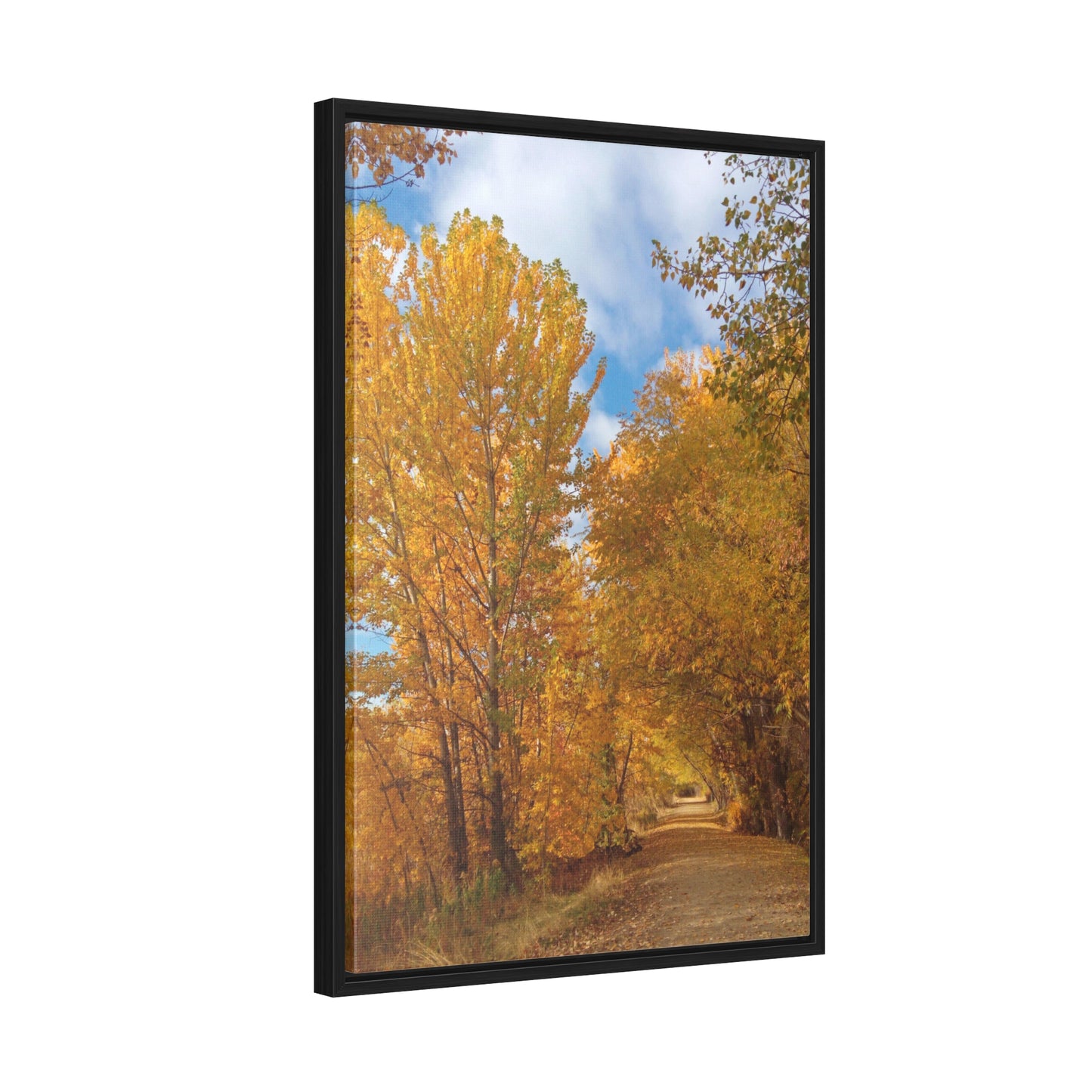 Autumn Trail Gallery Canvas Wraps Framed