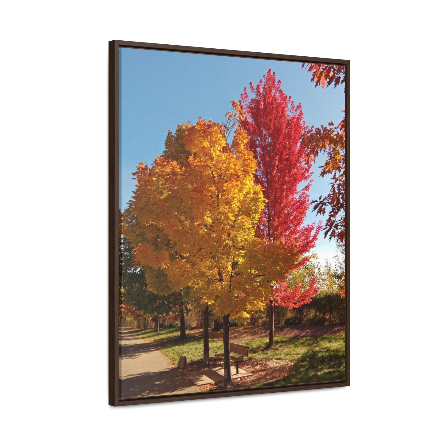 Autumn Bench Gallery Canvas Wraps Framed