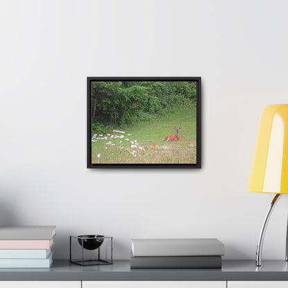 Peace In The Meadow Gallery Canvas Wraps Framed
