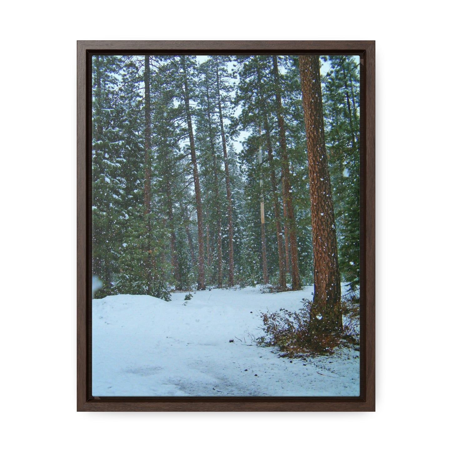 Snowfall Gallery Canvas Wraps Framed