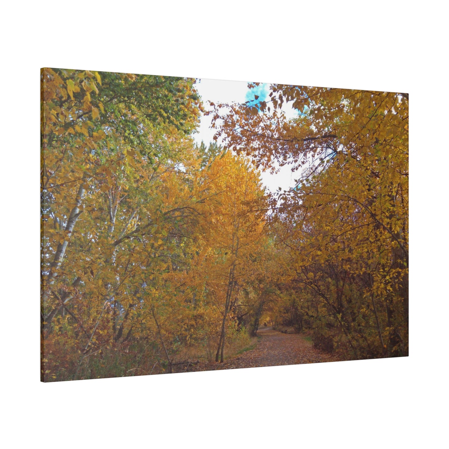 Autumn Lane Matte Canvas