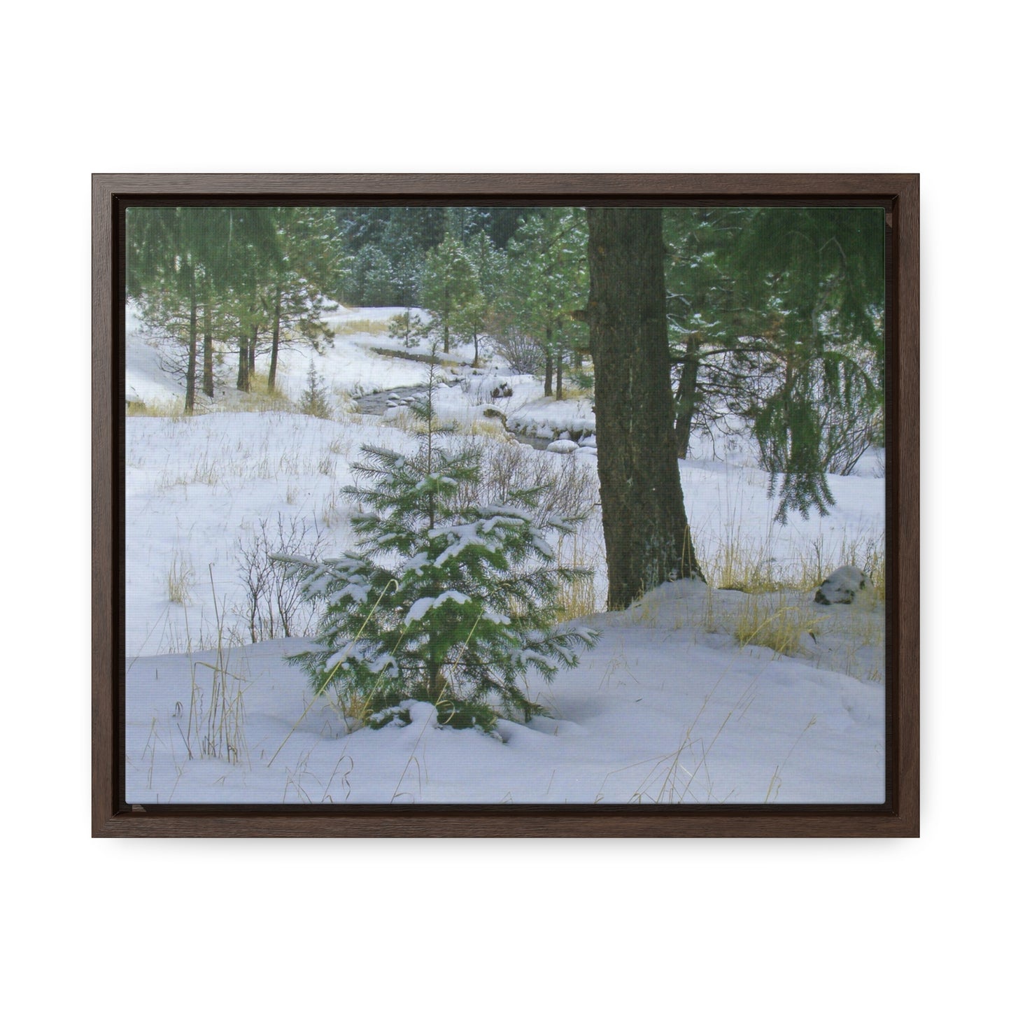 Christmas Tree Creek Gallery Canvas Wraps Framed