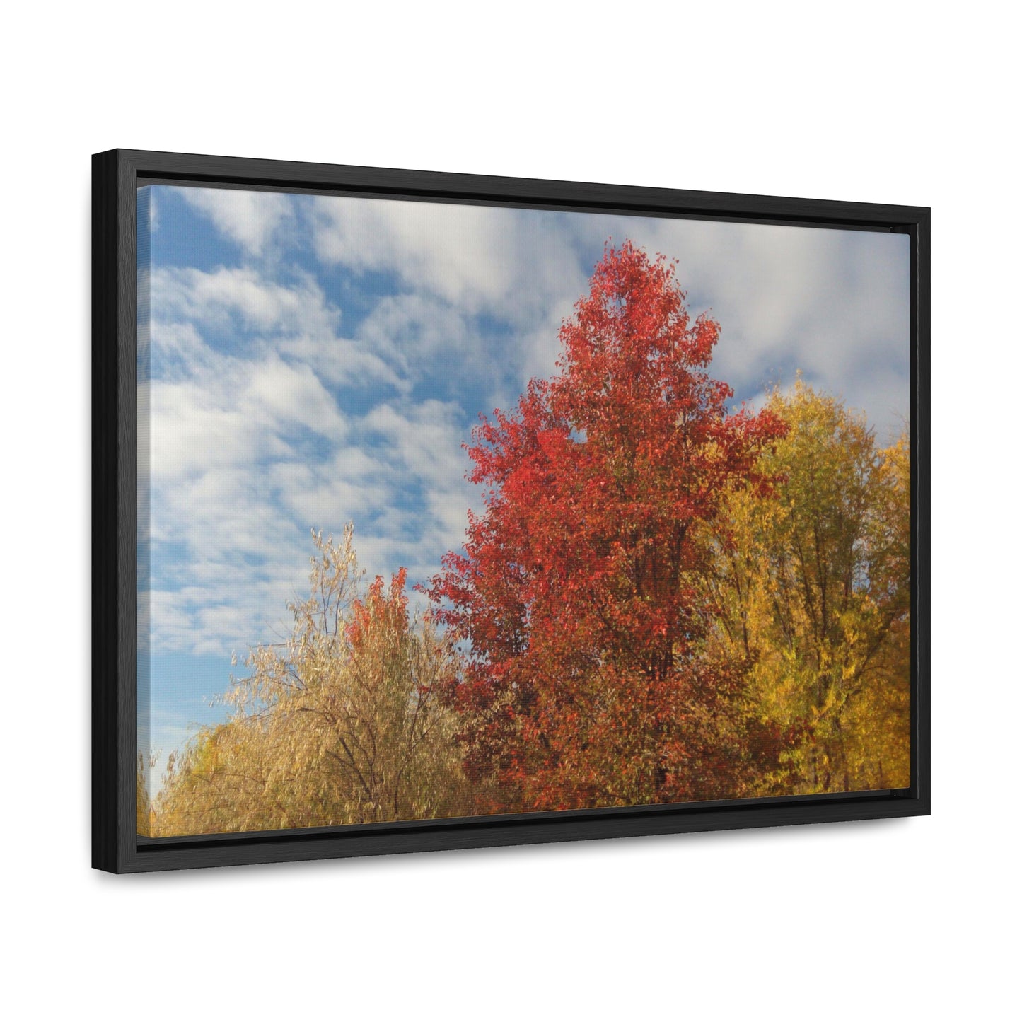 Autumn Sky Gallery Canvas Wraps Framed