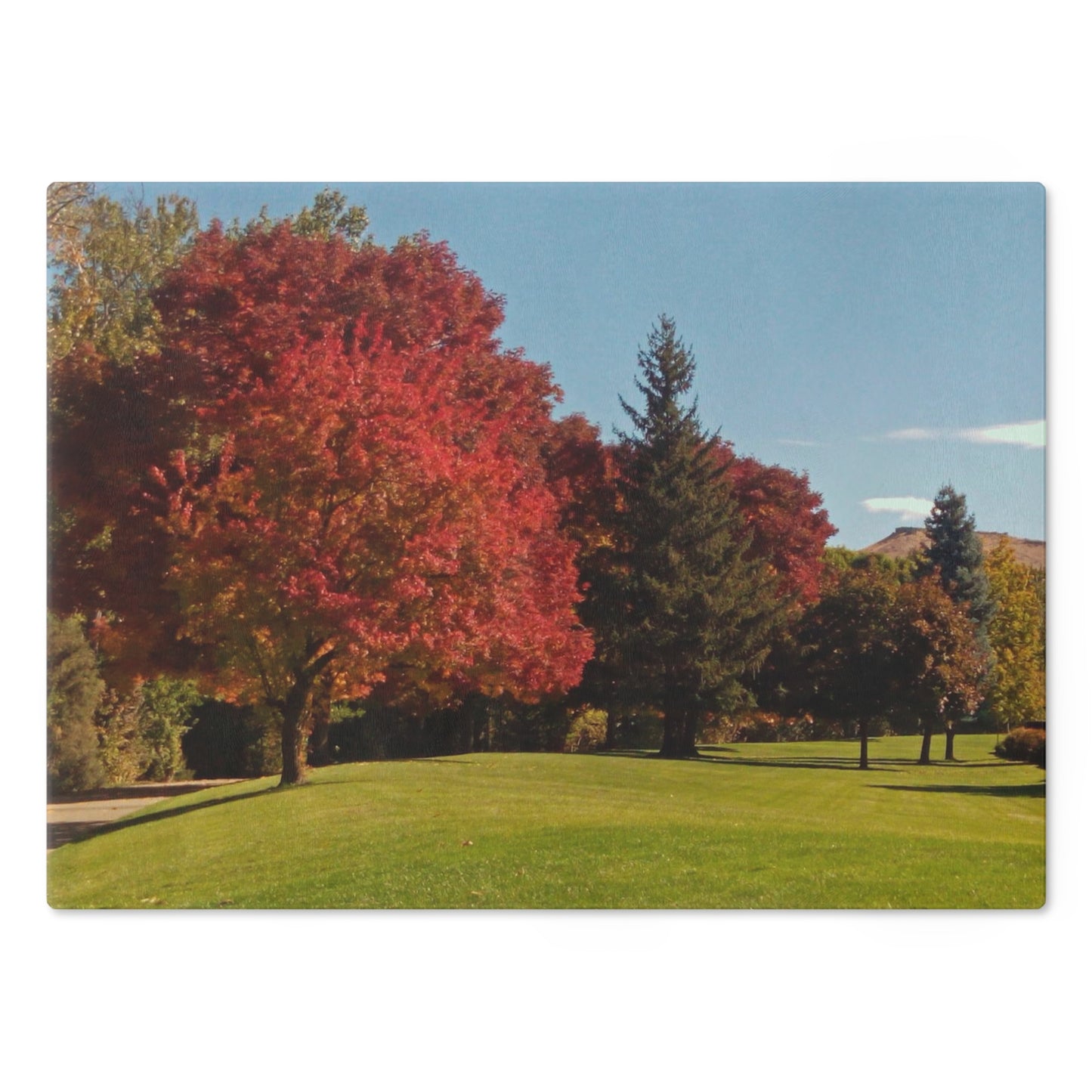 Autumn Lawn Cutting Board Dishwasher Safe