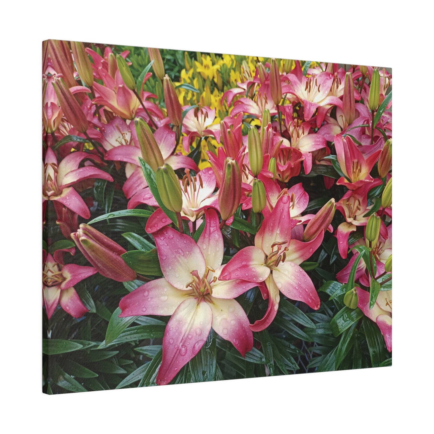 Lovely Lilies Matte Canvas