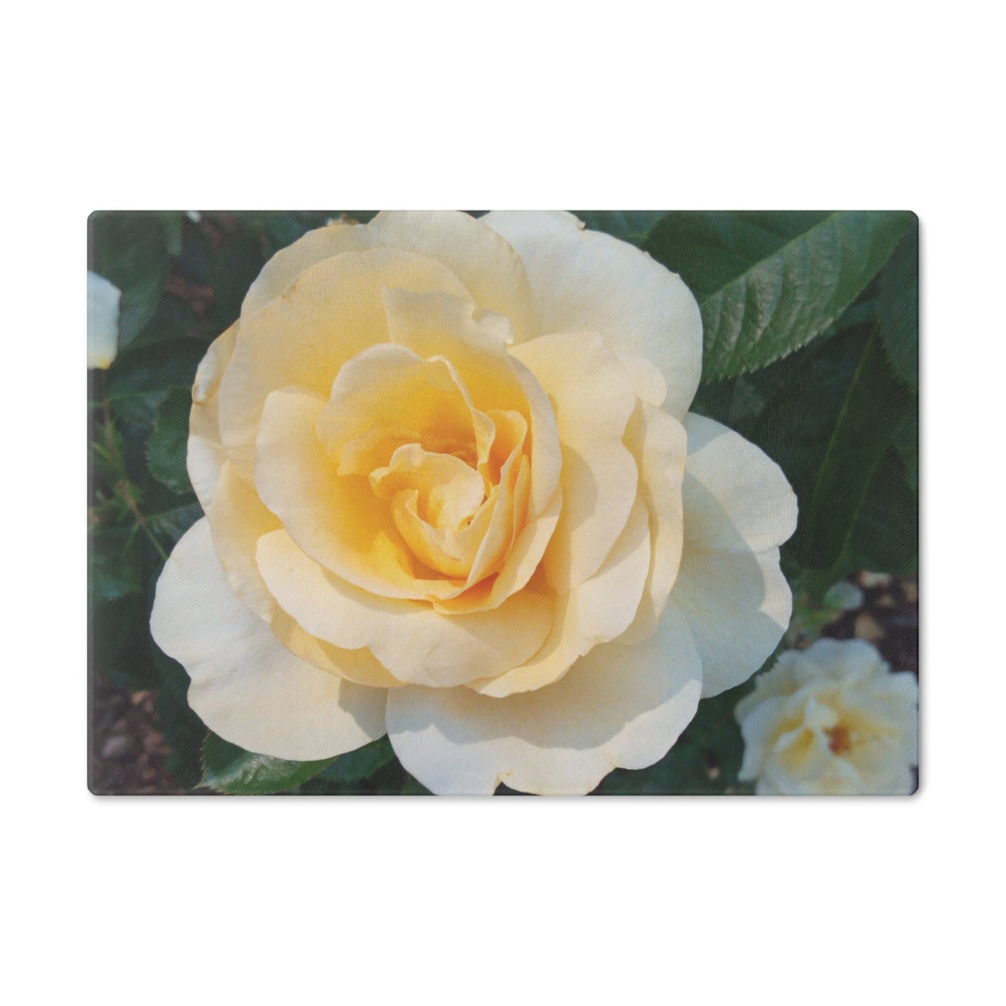 Cream Rose Cutting Board Dishwasher Safe