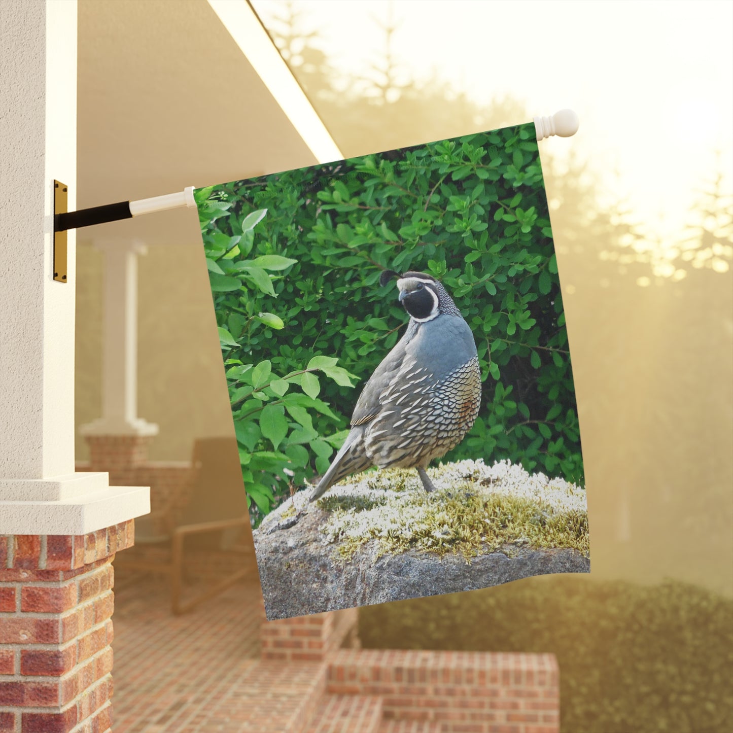 Regal Quail Garden & House Banner