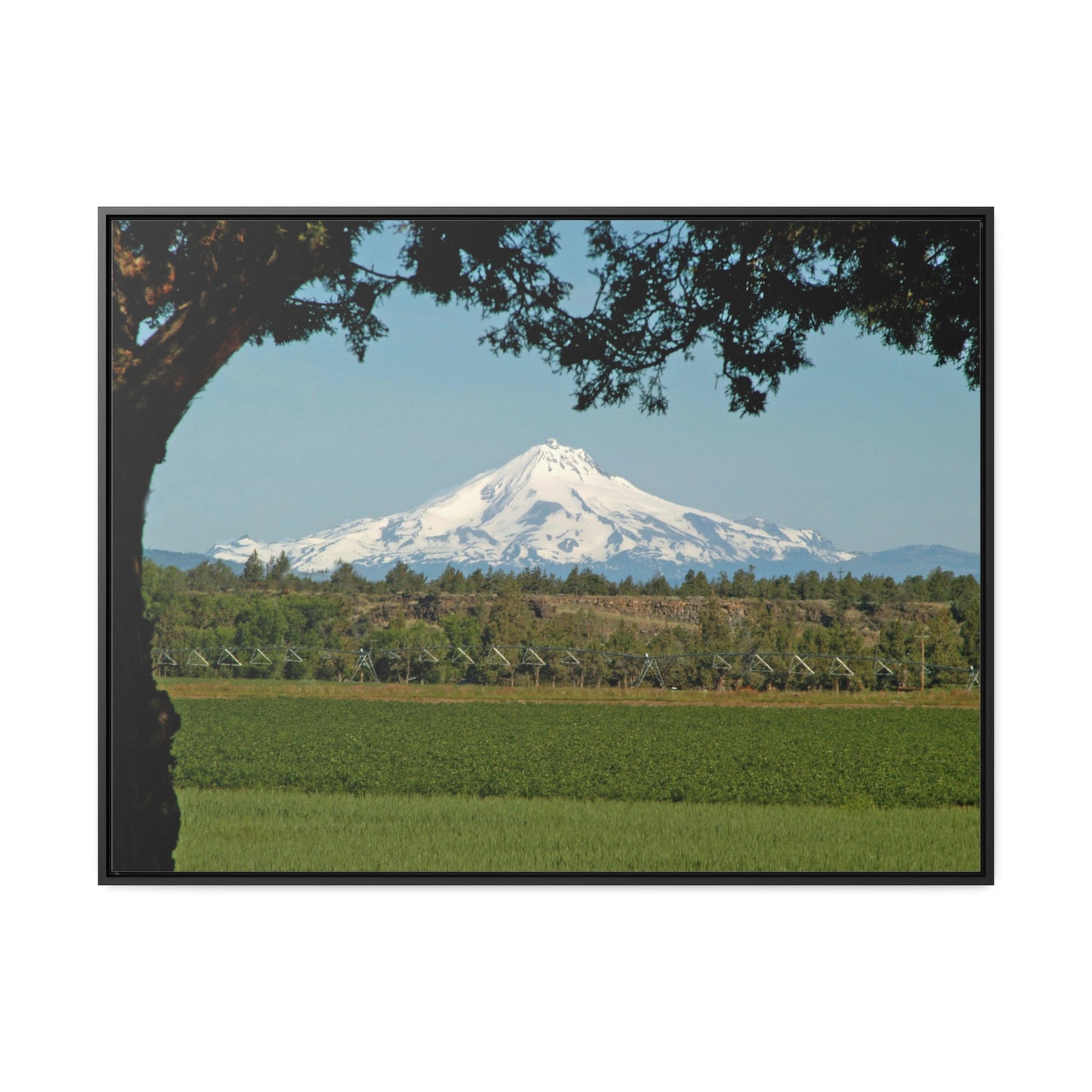 Juniper Framed Mountain Gallery Canvas Wraps Framed