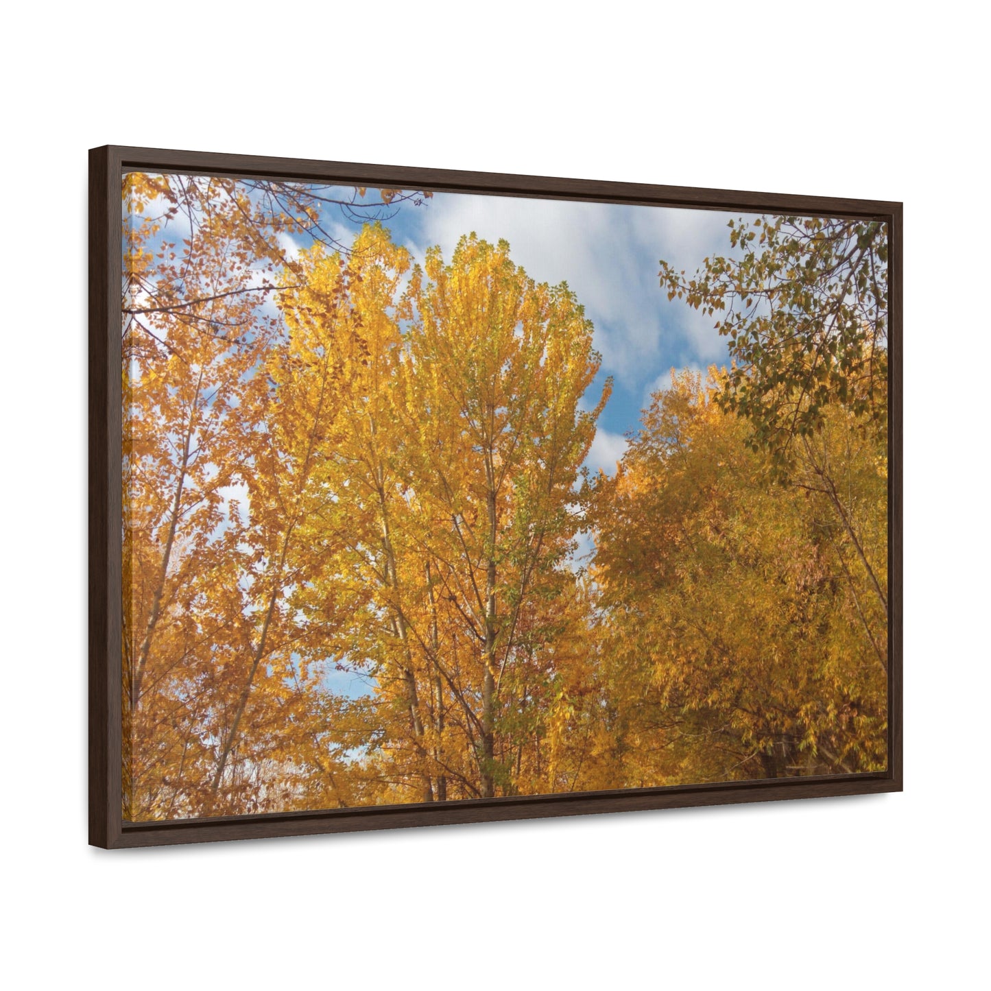 Autumn Gold Gallery Canvas Wraps Framed