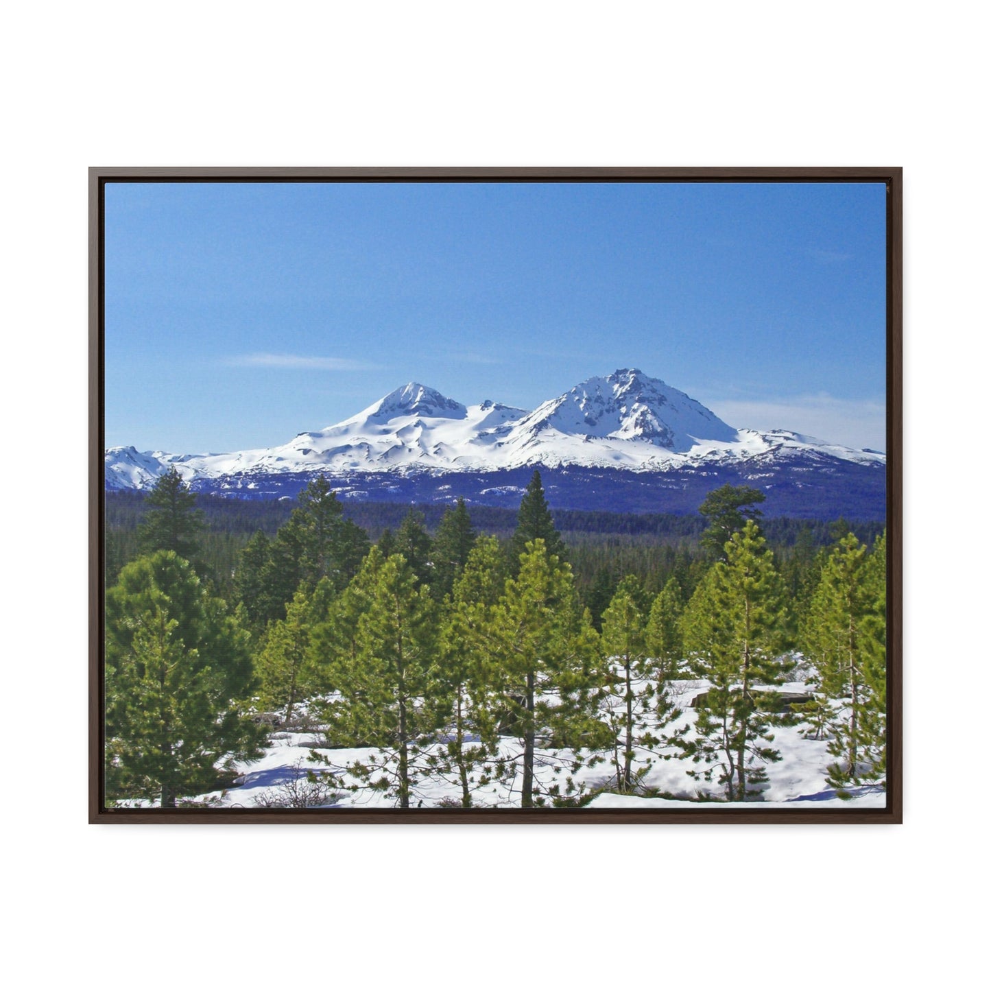 Winter Two Sisters Gallery Canvas Wraps Framed