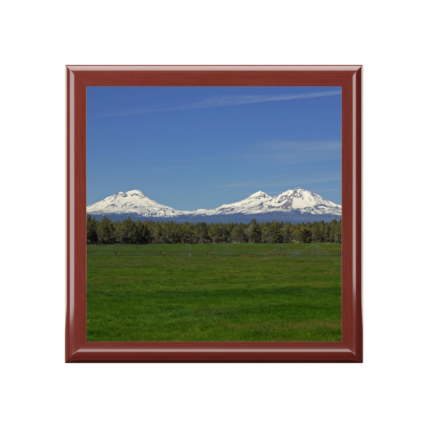 Mountain Field Jewelry Box ~ 7.24"