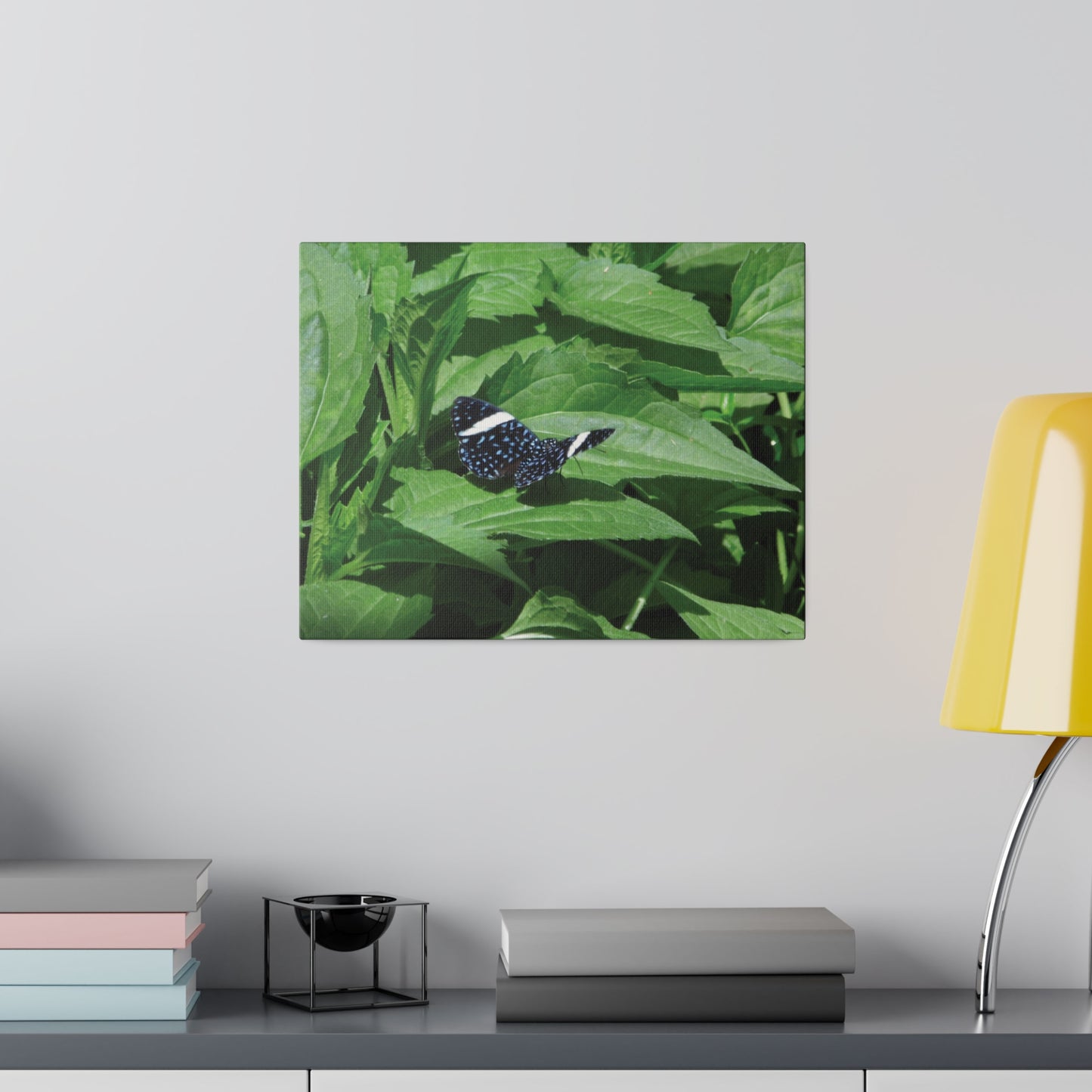 Sapphire Butterfly Matte Canvas