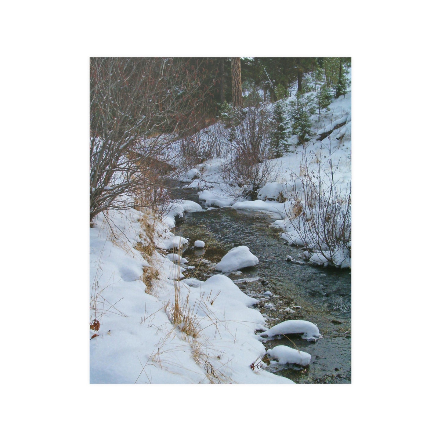 Snowy Creek Satin Posters