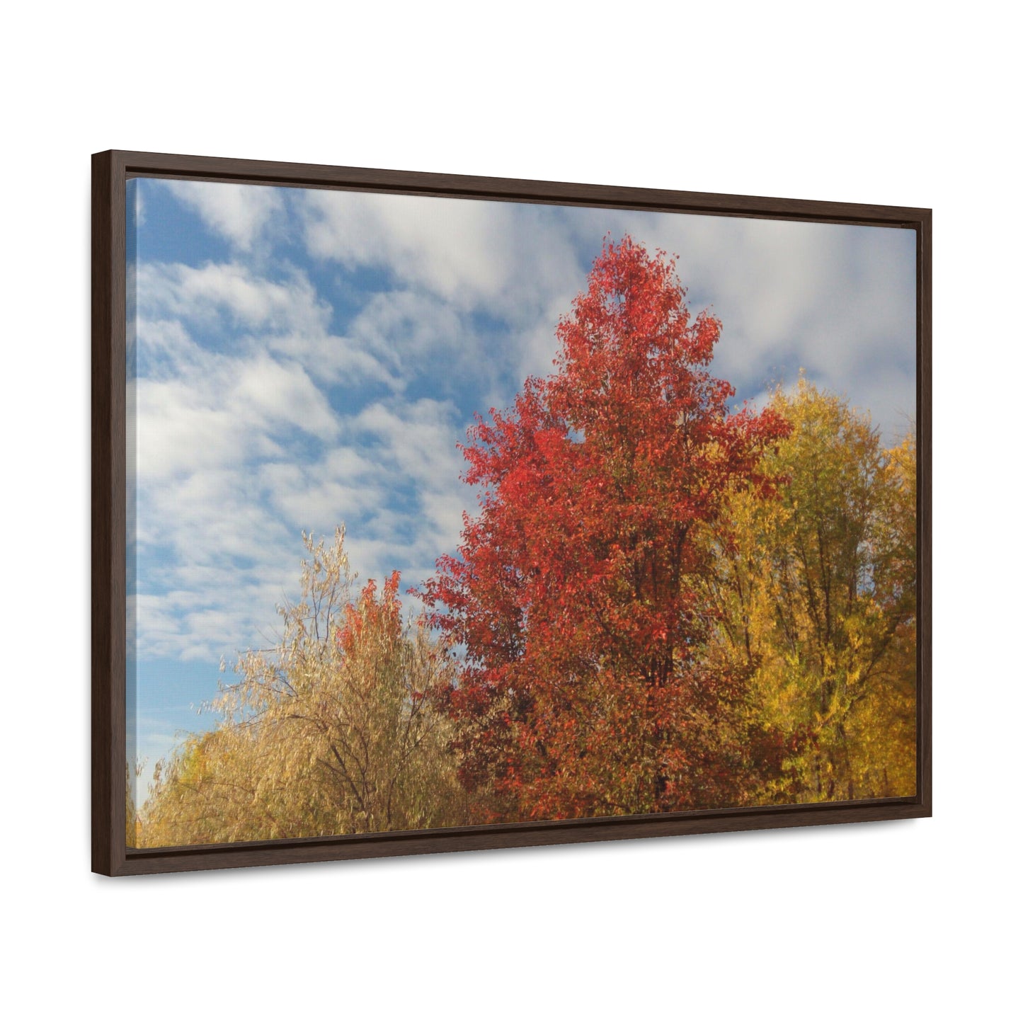 Autumn Sky Gallery Canvas Wraps Framed
