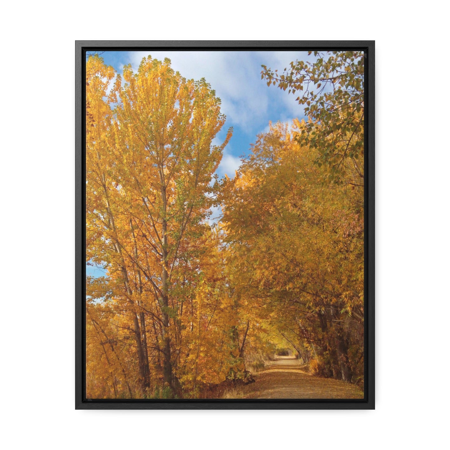 Autumn Trail Gallery Canvas Wraps Framed