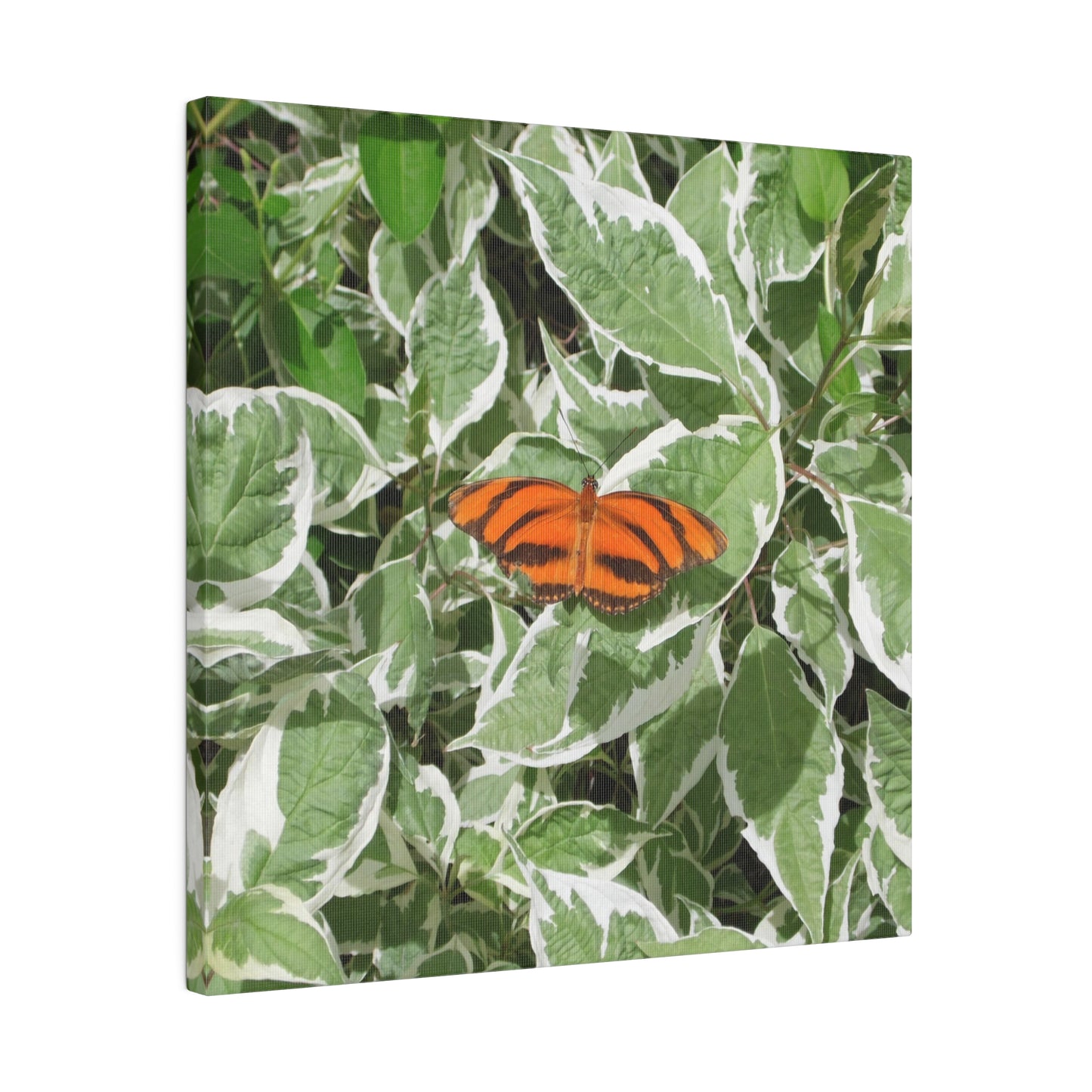 Leaves & Butterfly Square Matte Canvas