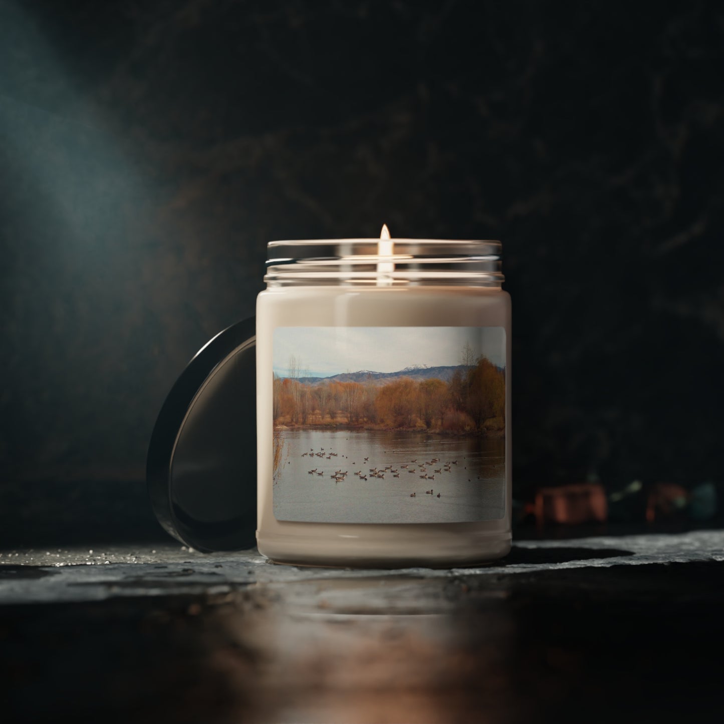 Autumn Pond with Geese Scented Soy Candle, 9oz