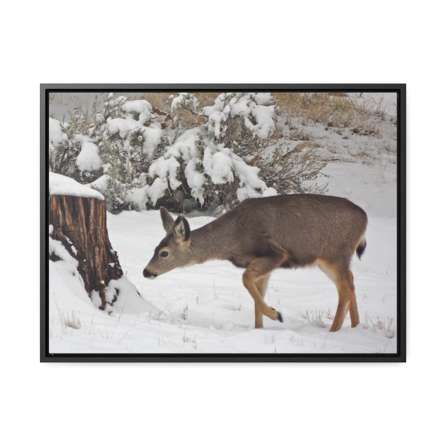 Winter Deer Gallery Canvas Wraps Framed