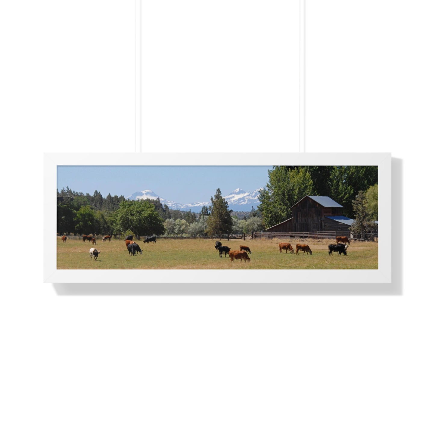 Picturesque Cattle Framed Poster