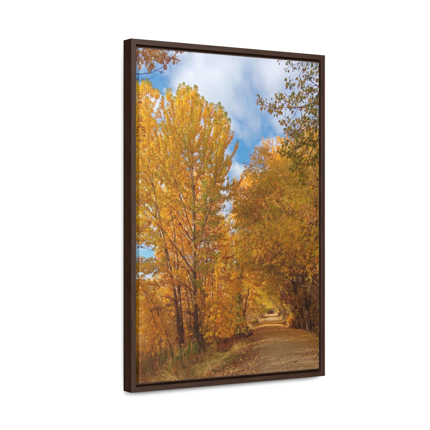 Autumn Trail Gallery Canvas Wraps Framed