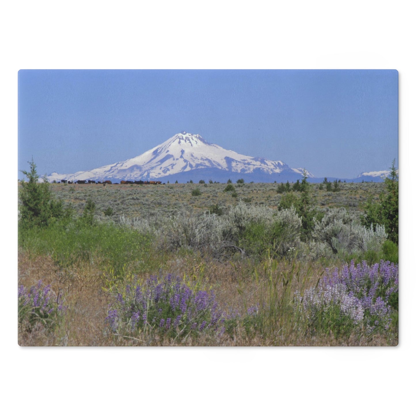 Lupine & Sage Mountain Cutting Board Dishwasher Safe