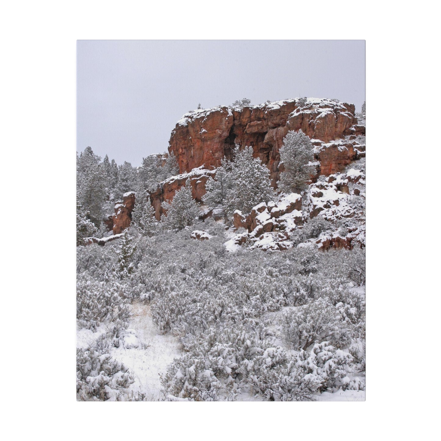 Winter Cliff Matte Canvas