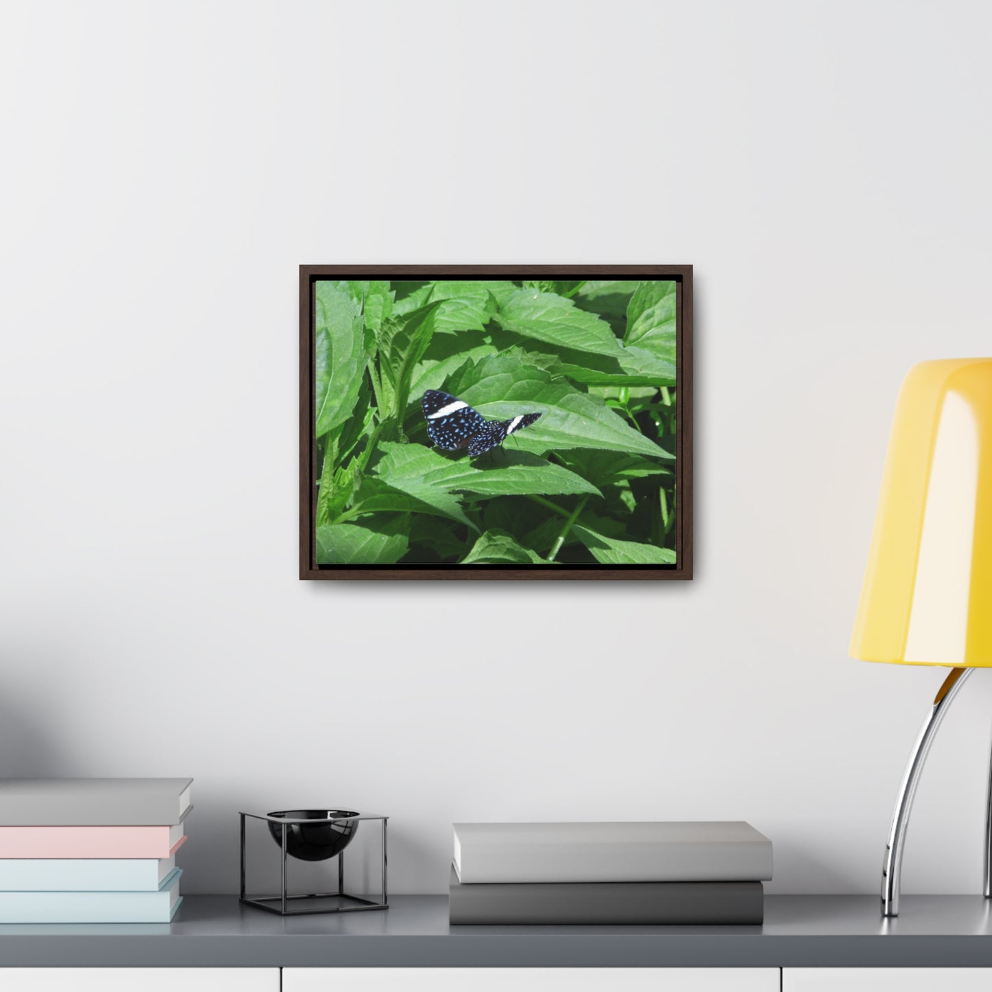 Sapphire Butterfly Gallery Canvas Wraps Framed