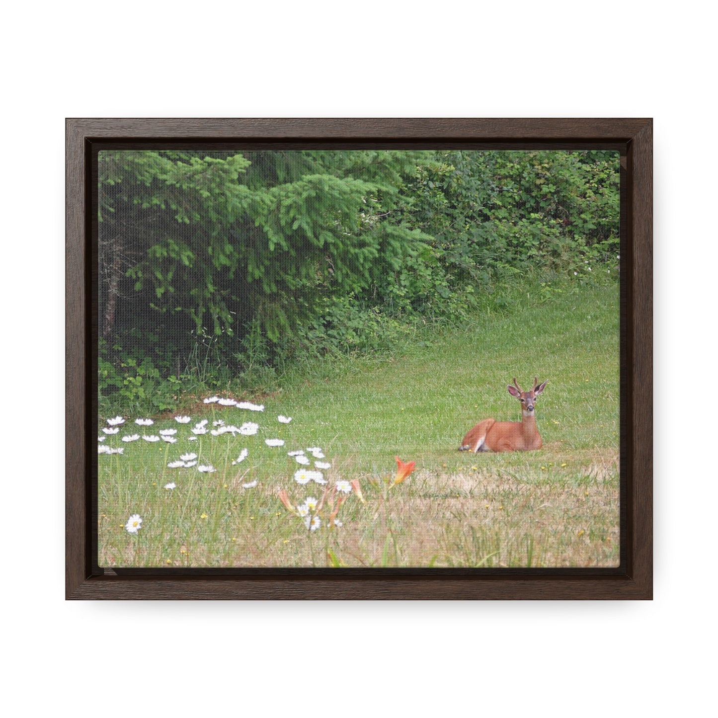 Peace In The Meadow Gallery Canvas Wraps Framed