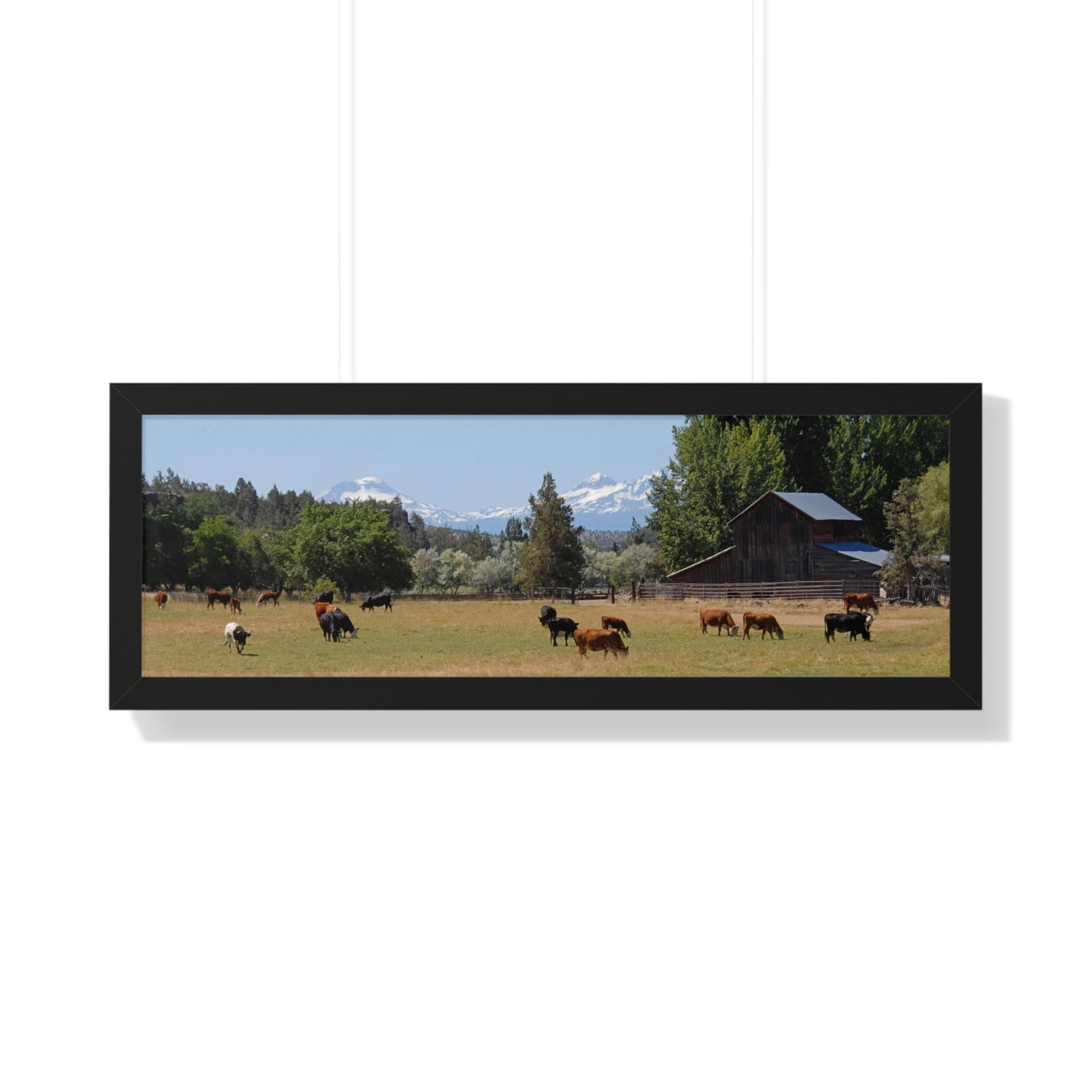 Picturesque Cattle Framed Poster