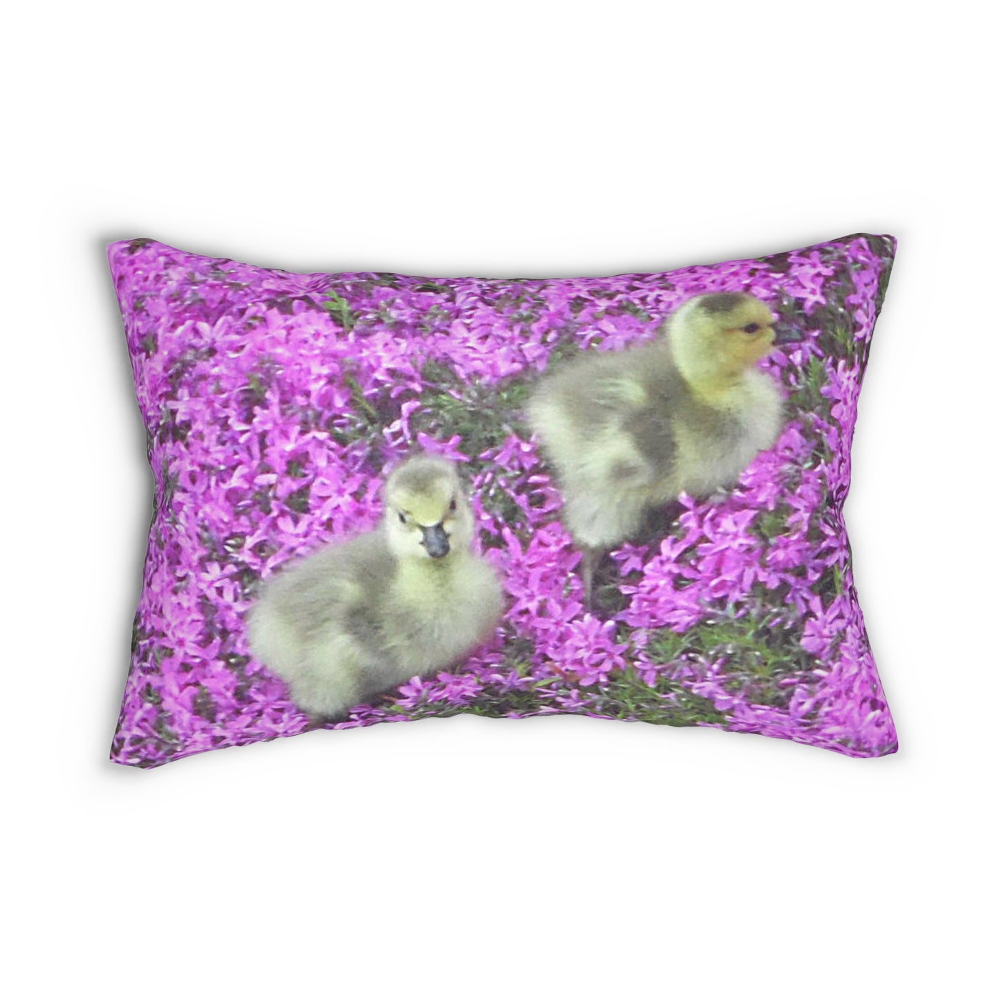 Precious Peeps Spun Polyester Lumbar Pillow