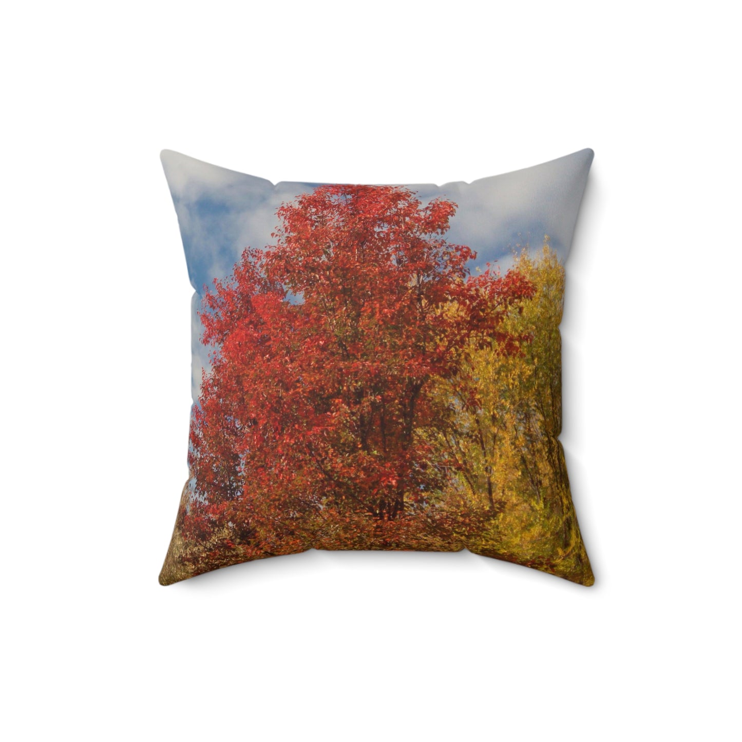 Autumn Sky Sherpa Spun Polyester Square Pillow