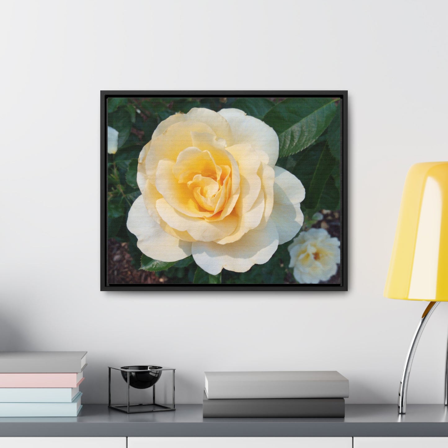 Cream Rose Gallery Canvas Wraps Framed