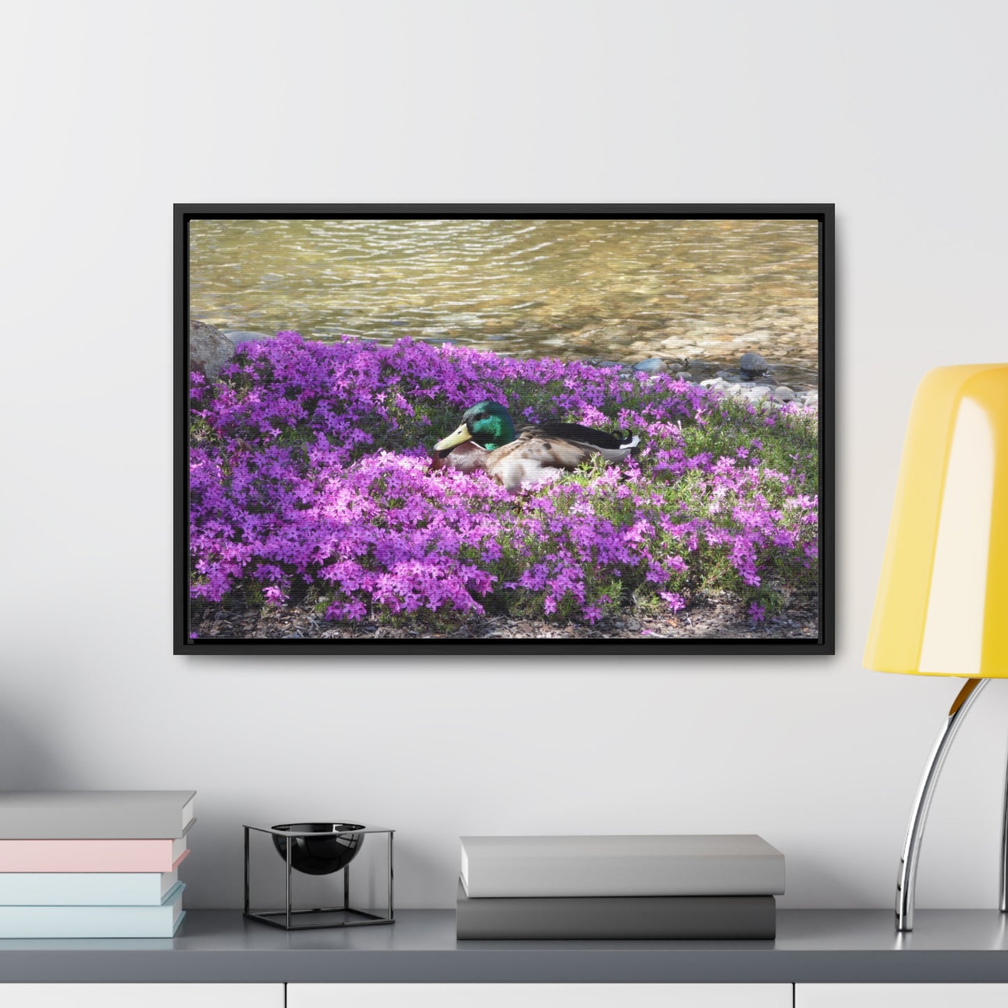 Duck Resting In Flowers Gallery Canvas Wraps Framed