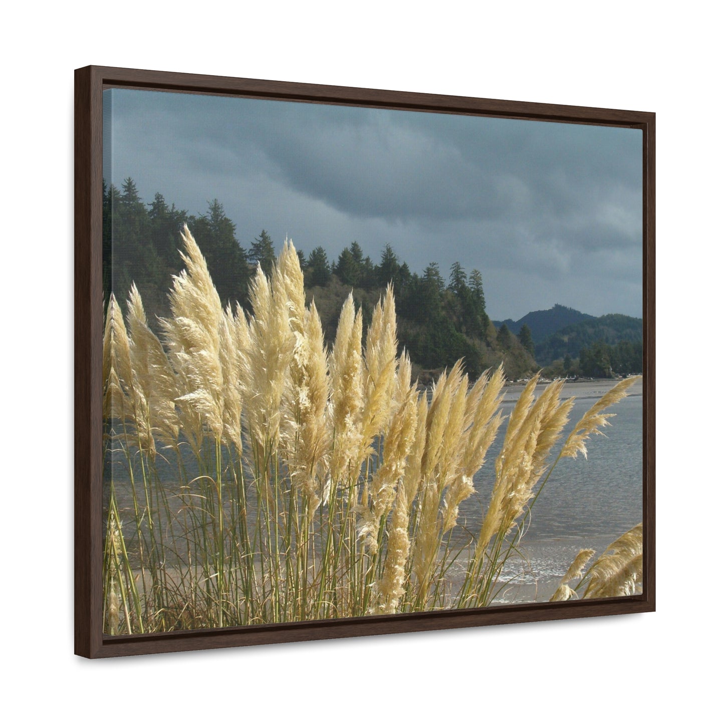 Golden Coastal Pampas Gallery Canvas Wraps Framed