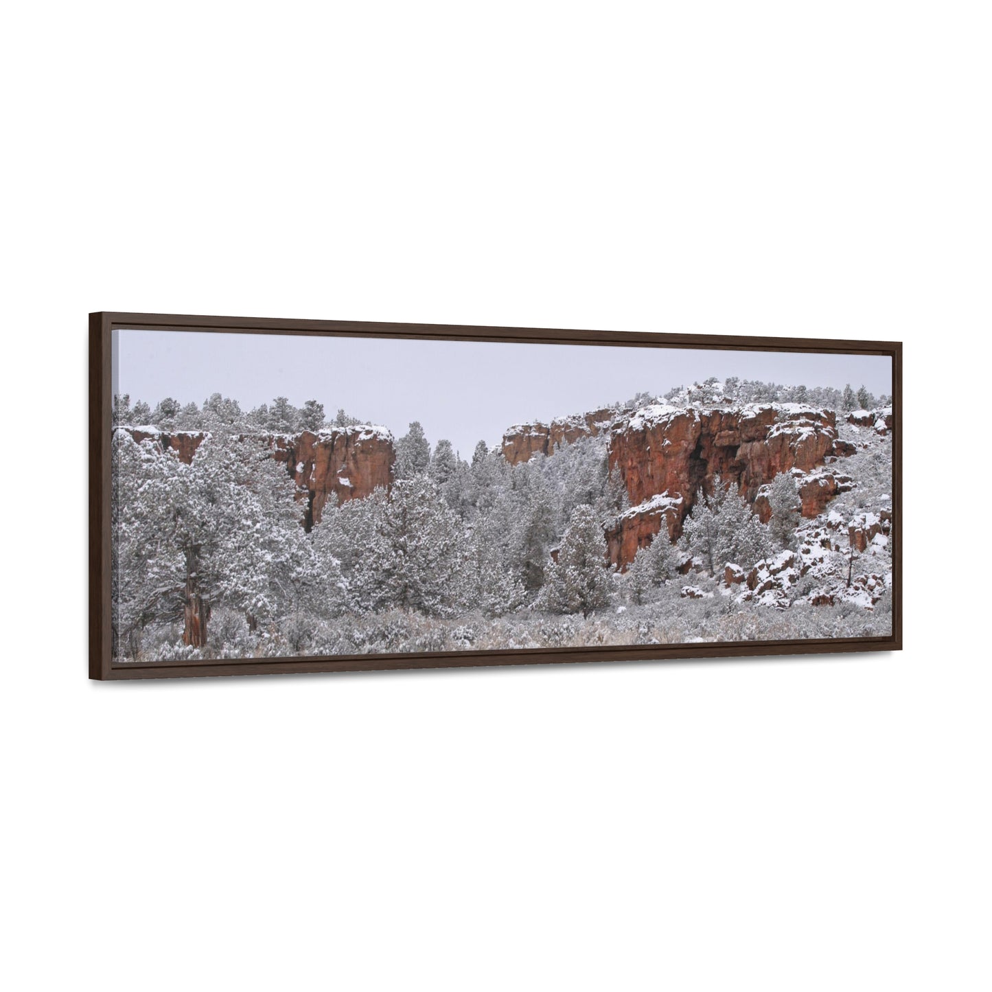 Winter Canyon Gallery Canvas Wraps Framed