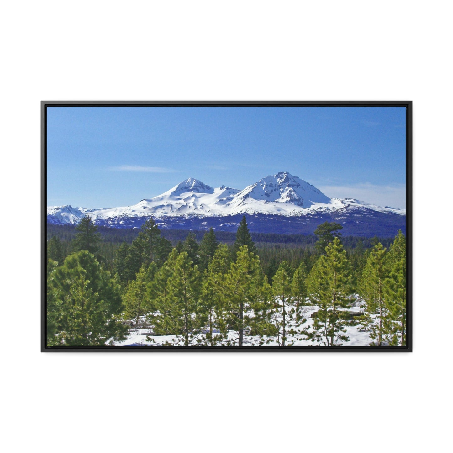 Winter Two Sisters Gallery Canvas Wraps Framed