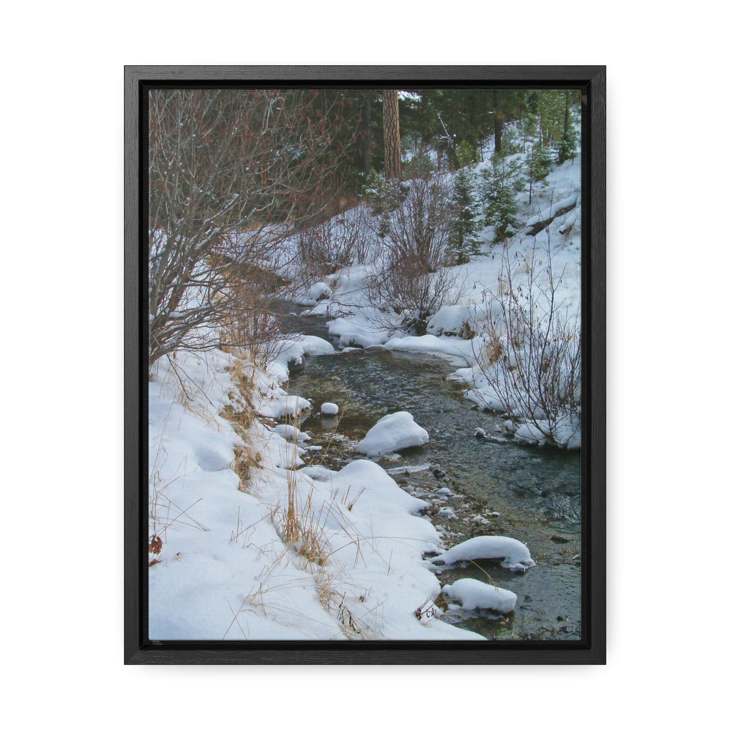 Snowy Creek Gallery Canvas Wraps Framed