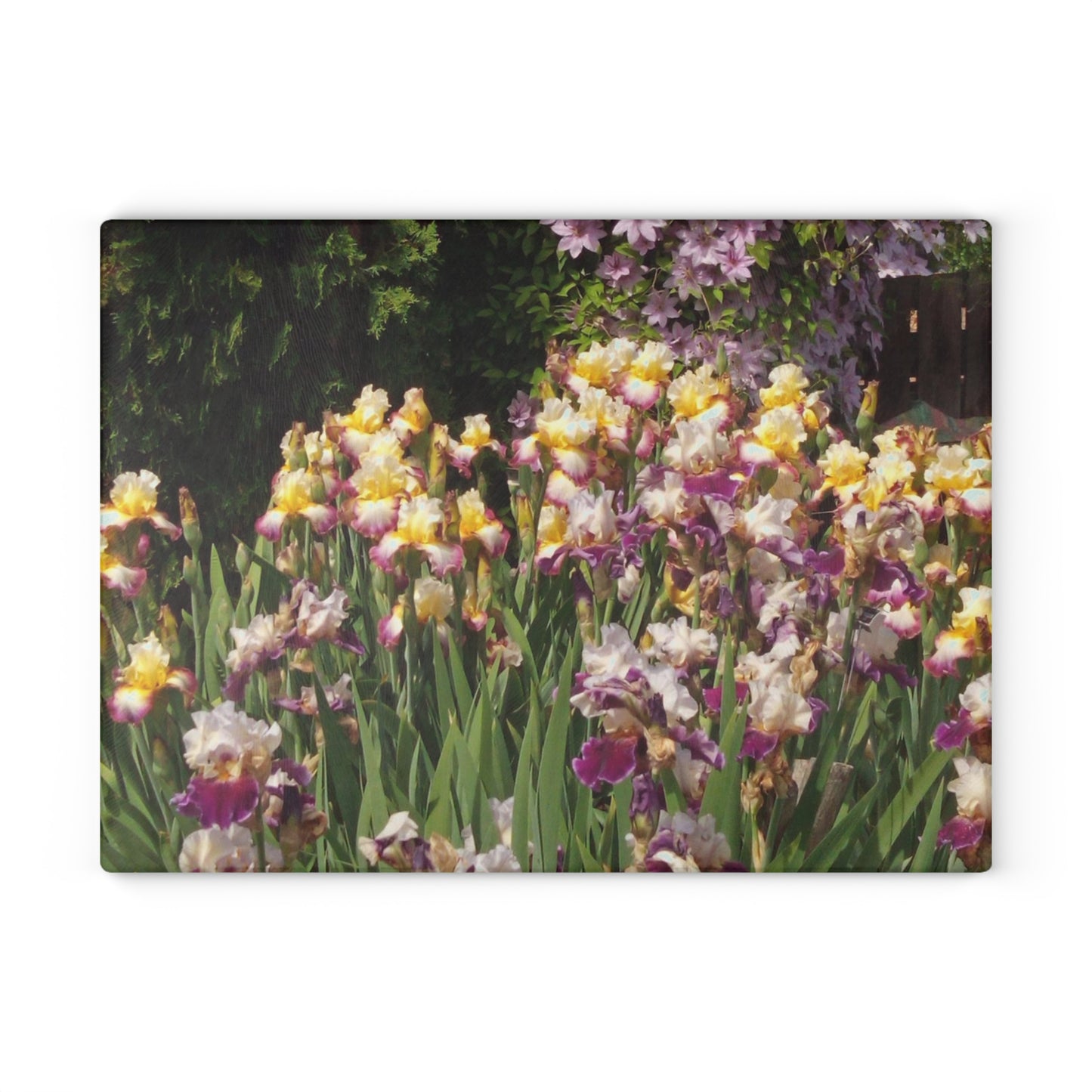 Sunny Iris Garden Glass Cutting Board Hand Wash