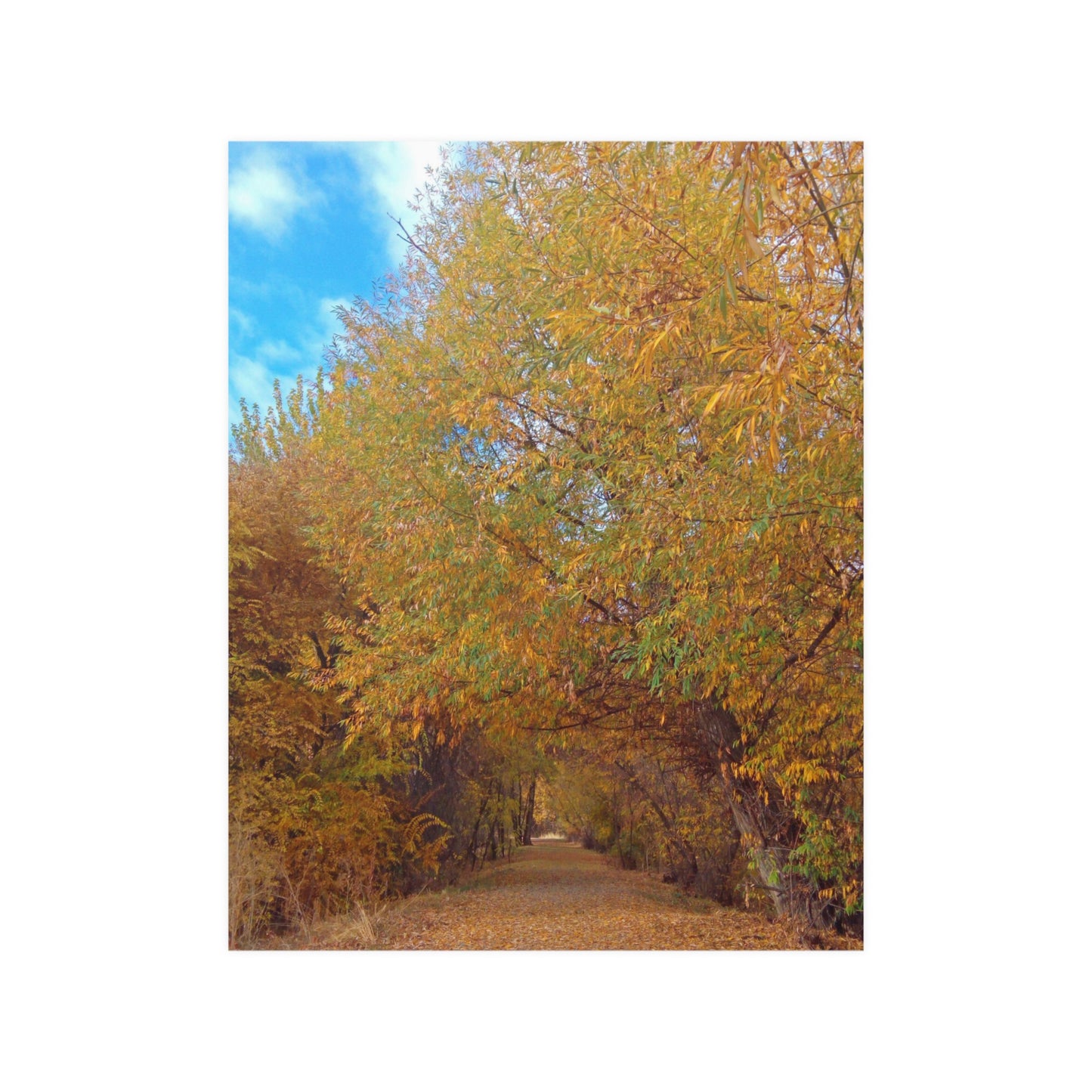 Autumn Path Satin Posters