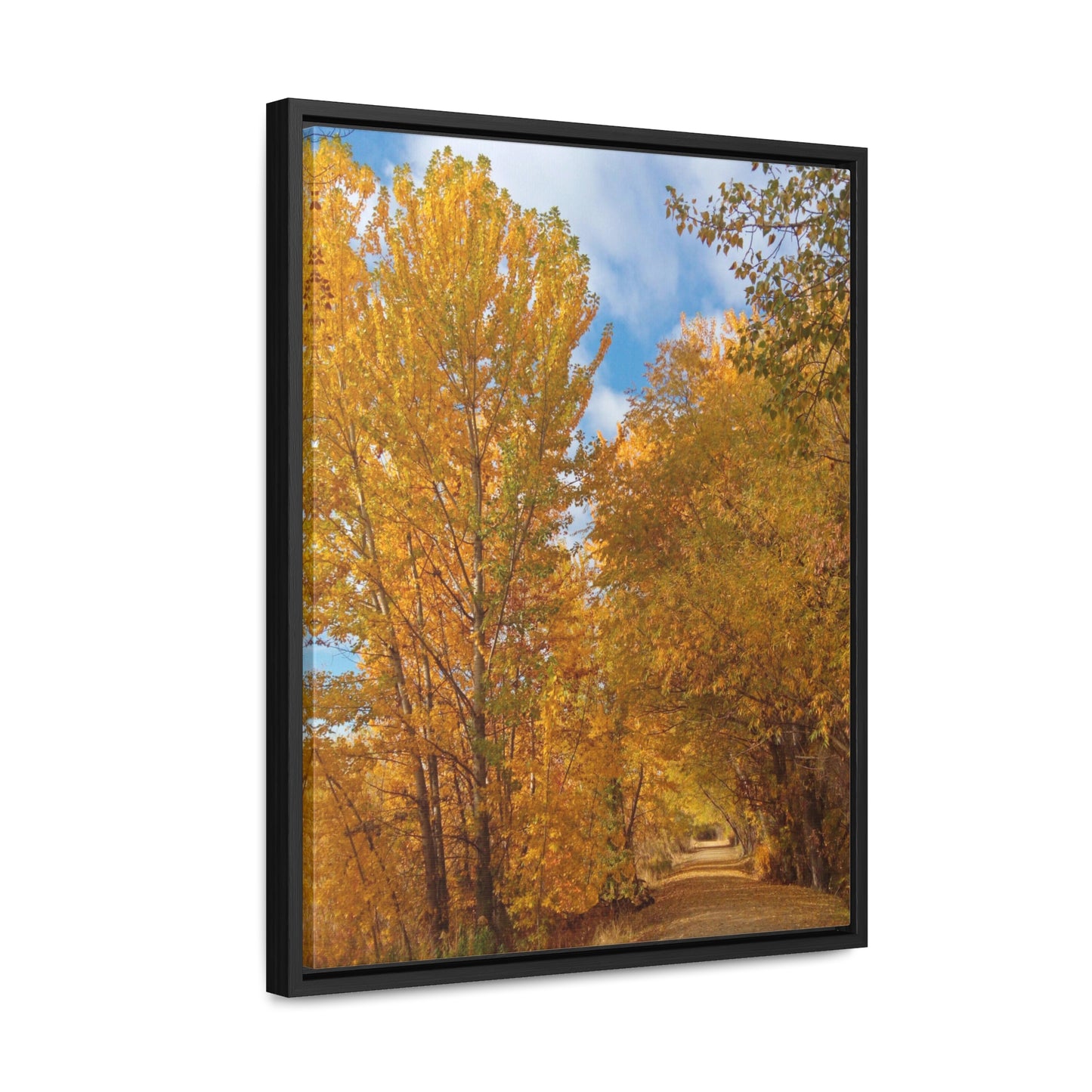 Autumn Trail Gallery Canvas Wraps Framed