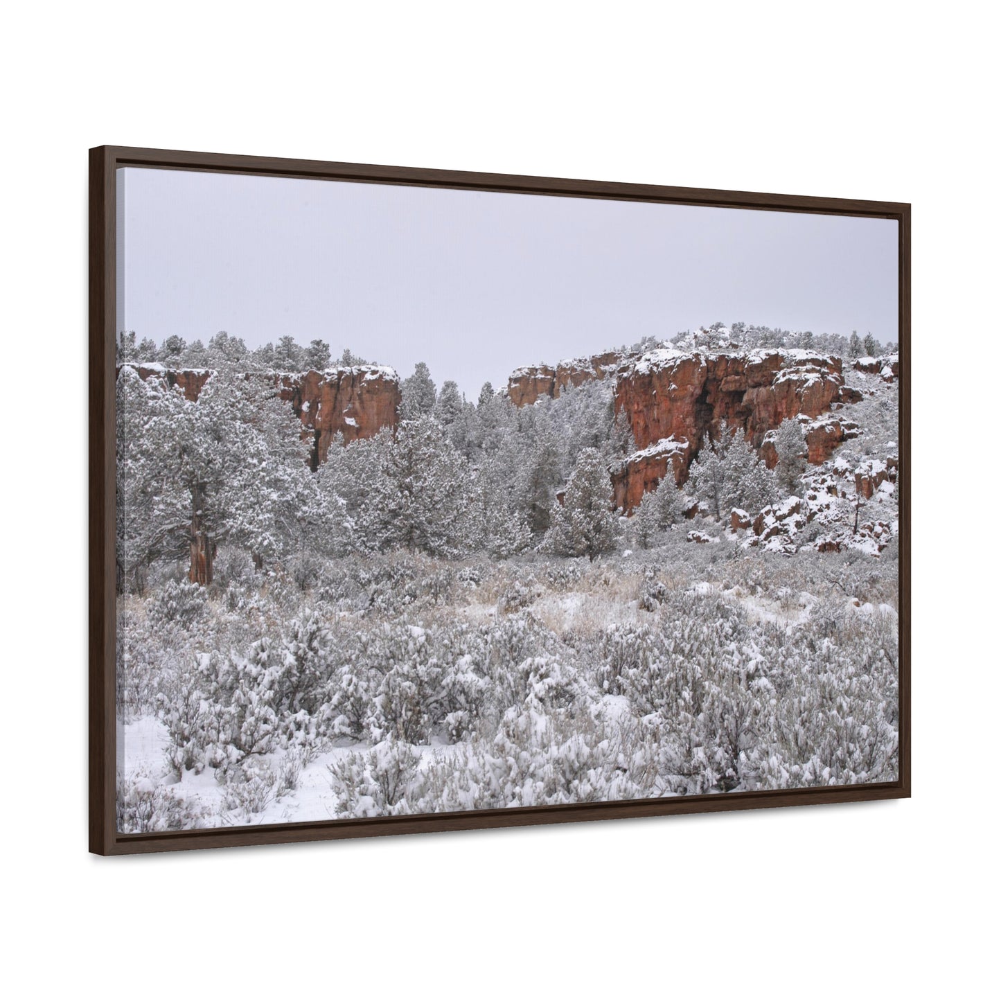 Winter Canyon Gallery Canvas Wraps Framed