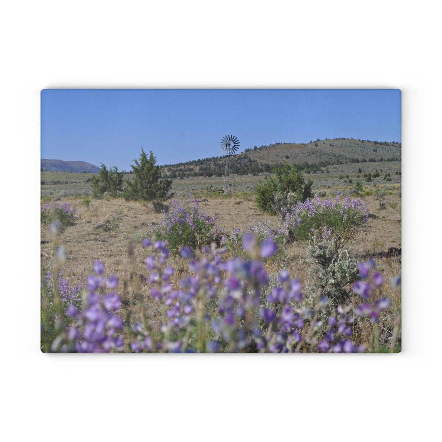 High Desert Lupine & Windmill Glass Cutting Board Hand Wash