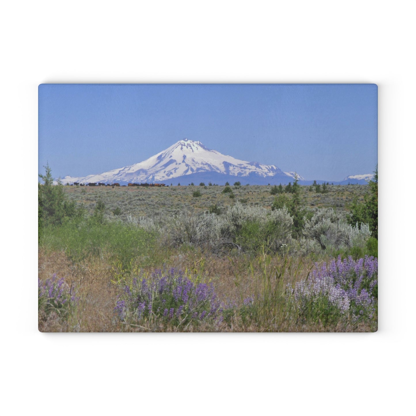 Lupine & Sage Mountain Glass Cutting Board Hand Wash