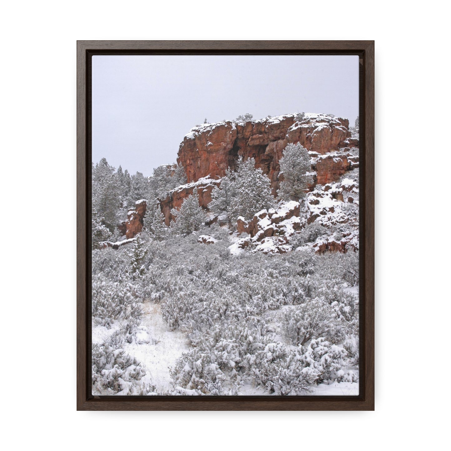 Winter Cliff Gallery Canvas Wraps Framed