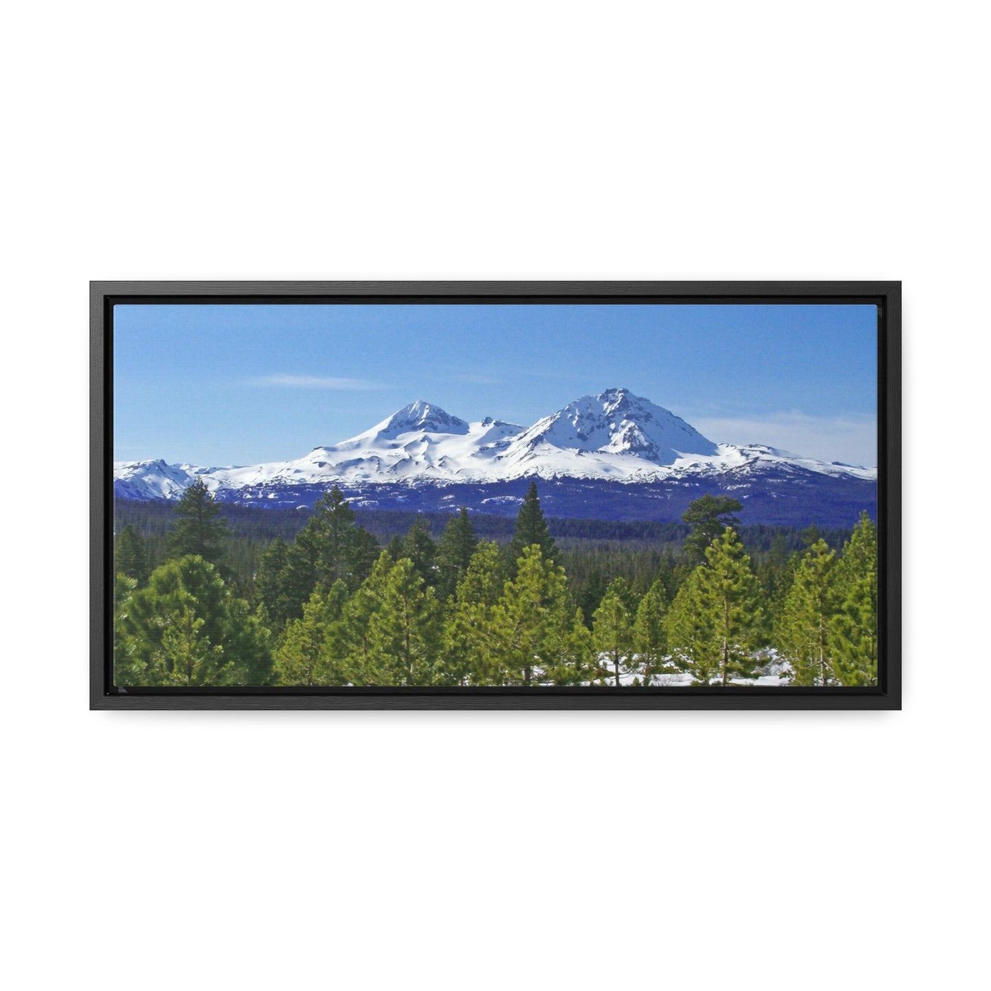 Winter Two Sisters Gallery Canvas Wraps Framed